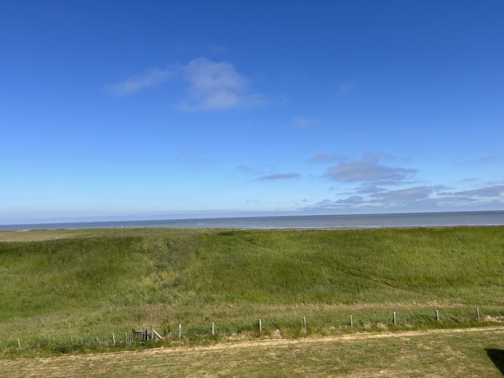 IMG_9052 (Gemiddeld)